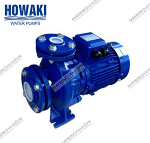 Ảnh Máy bơm ly tâm công nghiệp đầu gang Howaki CM 40-250B 15HP