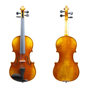 Ảnh Đàn Violin Scott Cao STV017E
