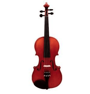 Ảnh Đàn violin Suzuki 220FE4 3/4