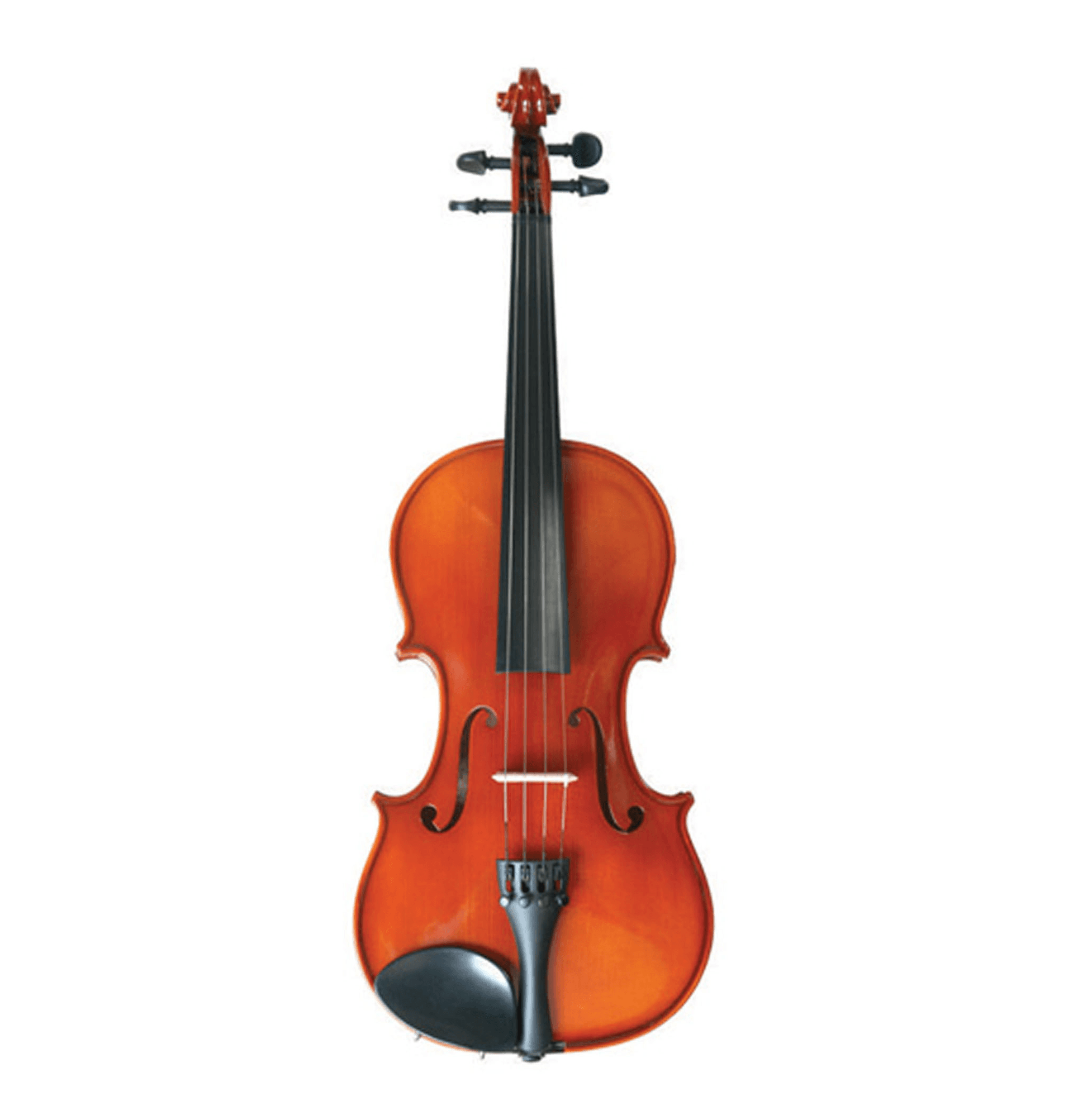 Ảnh Đàn violin Suzuki NS 20FIT 3/4