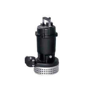 Ảnh Máy bơm chìm nước thải thân gang Ebara 50 DS 51.5 2HP