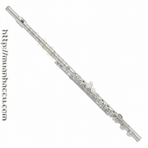 Ảnh Sáo Flute Yamaha YFL-222
